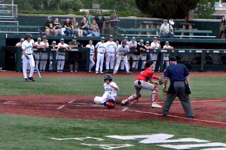 Waterford baseball advances to district final | News, Sports, Jobs