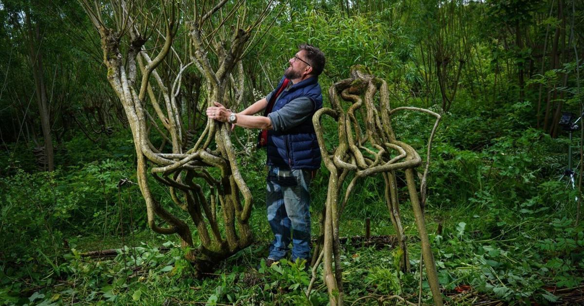 ‘Furniture orchard’ grows trees into chairs | Lifestyle