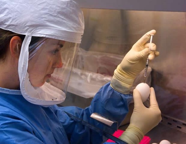 Heart health before pandemic influenced severity of COVID-19 infections