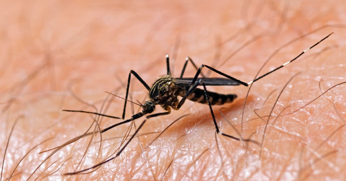 Bird tests positive for West Nile Virus in Ventura County, according to health officials
