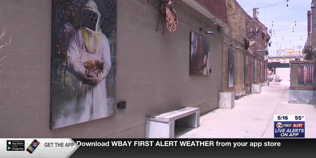 Downtown De Pere alley night market series to launch in June – WBAY