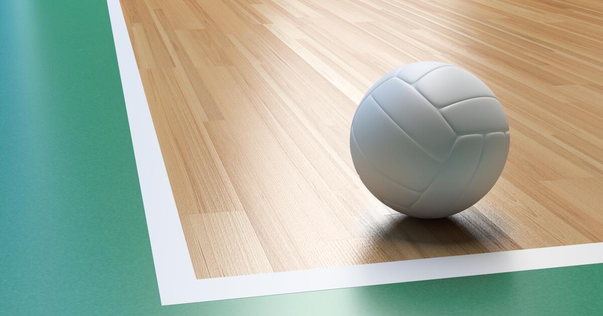 High school boys' volleyball: State championship results